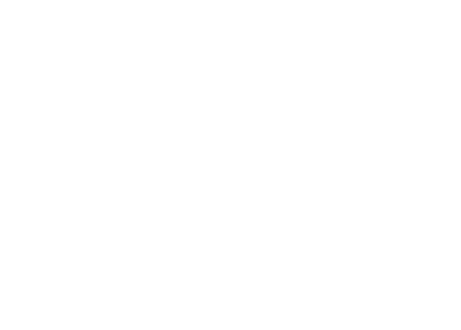 dalton state logo